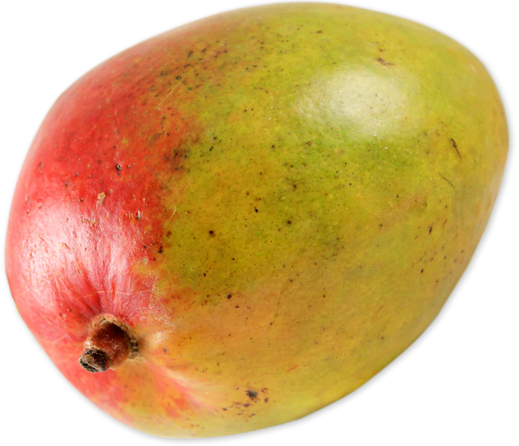Mango (1)
