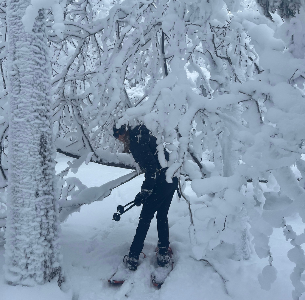 10 Reasons Why I Like Winter