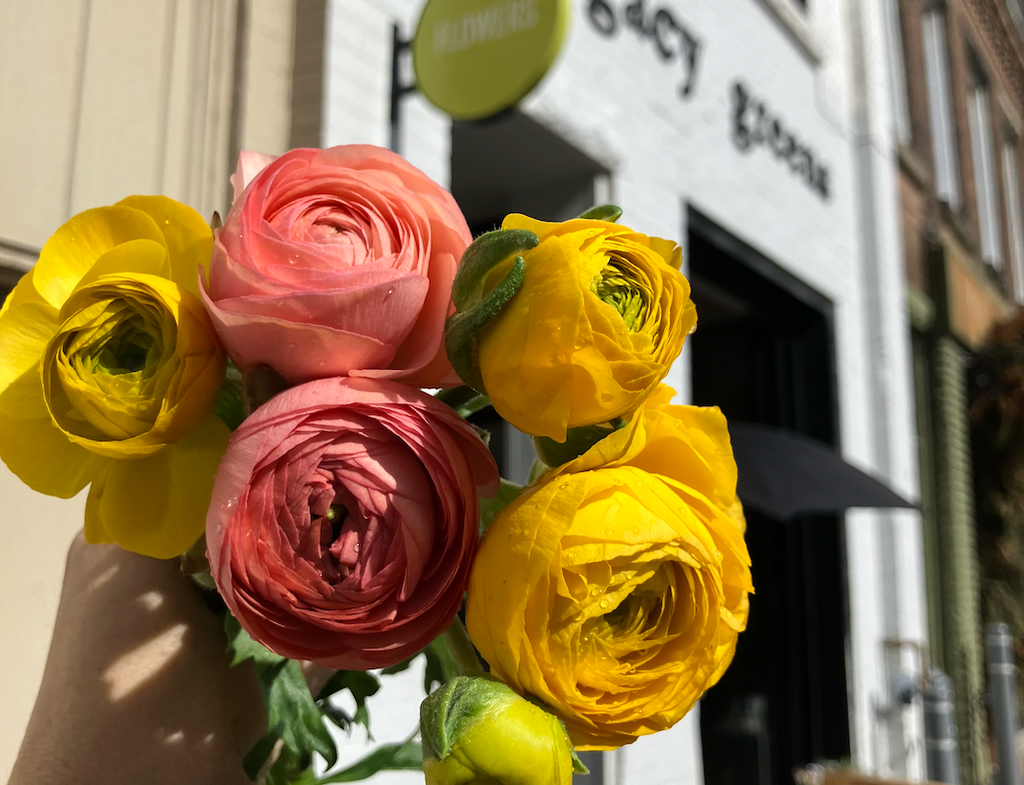 Ranunculus - 5 stems