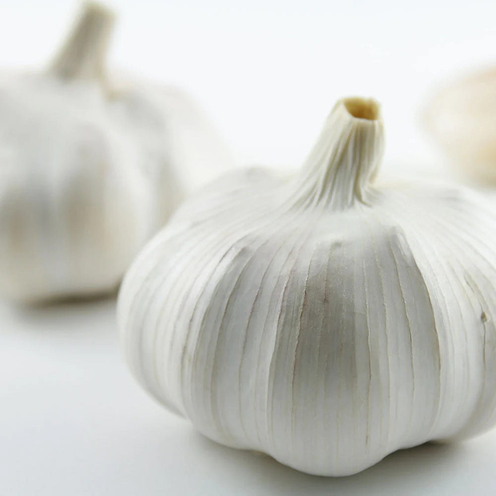 Garlic - medium