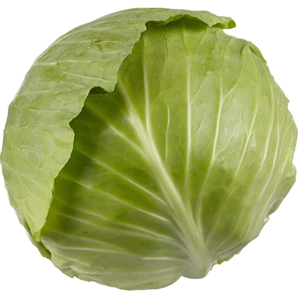Green Cabbage - small (1)