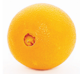 navel orange (1)
